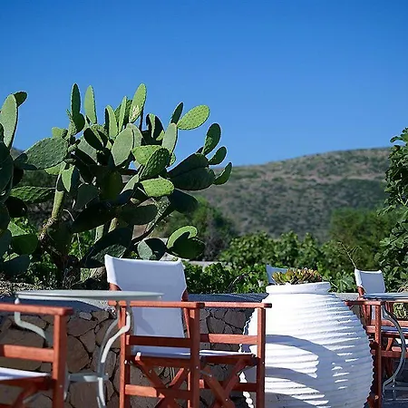 Gallis Guest house