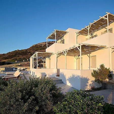 Gallis بولونيا
